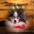 Trina Engebretson Anglen's profile image