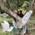 Alfonsa Rodriguez's profile image