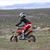 Pattie Pischel's profile image