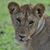Jennifer Norton's profile image