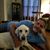 Julian Toscano's profile image