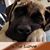 Jackie Lunsford Brady's profile image