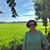 Anne McMullin's profile image