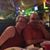 Debra Goss Phillips's profile image