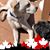 Judy Sherrard Denby's profile image