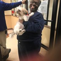 Michele Williams's profile image