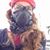 Mona Caron's profile image