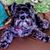 James J. Drum's profile image