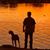 John Keegan's profile image