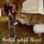 Suzanne Hiebert Young's profile image
