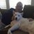 Eric David Kaptowsky's profile image