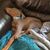Kimberly Veyon Dulaney's profile image