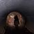 Tina Durborow's profile image