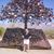 Darlyne Gallaway's profile image