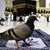 Anise La Classe's profile image