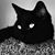 Amy Nash's profile image