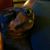 Tammy Smith's profile image