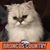 Terri Supplee's profile image