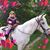 Kathy Cookie Burns-Buchner's profile image
