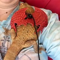 Kerry Benson's profile image