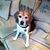 Lynne Carlson's profile image