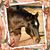 Tilly Mae's profile image