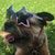 Pamela Buckles Tabert's profile image