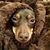 Jeff Tarpley's profile image