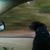 Gina Zachry's profile image