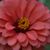 Marianne Royals Wynn's profile image