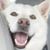 Donna McGarrell's profile image