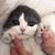 Johana Denisse Olide Guillen's profile image