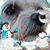 Maureen O'Rourke Gaine's profile image