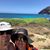 Elizabeth Ann Sheldon's profile image