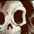 Ragnar Starki's profile image