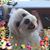 Stacy Johnson Wallner's profile image