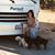 Laura Parente-Comsa's profile image
