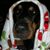 Tammy Bangoura's profile image