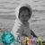 Lianna Stevenson's profile image