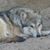 Sarah Rudig's profile image