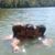 Caleb Simpson's profile image