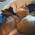 Joyce Lundy's profile image