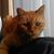 Richard Emerick's profile image