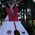 Gray Wolf Trading Company's profile image