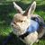 stephenandnai's profile image