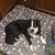 Heidi Jo Sayers's profile image