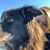 Maggie Murphy's profile image