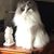 Audrey Sluiter's profile image