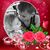 Linda Hartzell's profile image