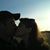 Patrick Cavanaugh's profile image